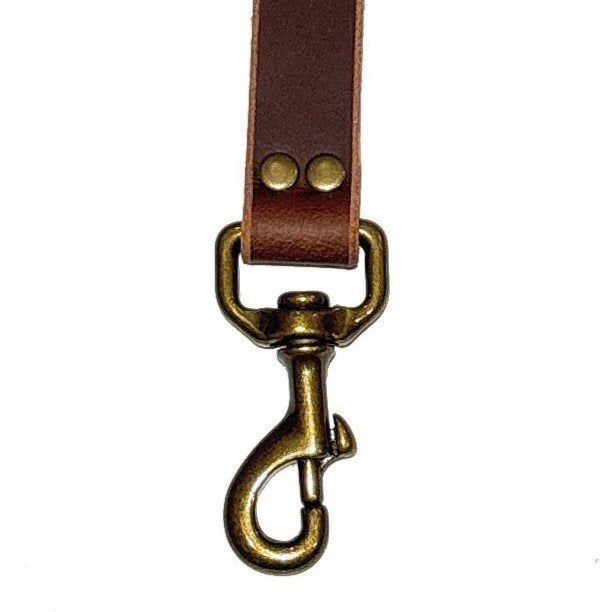 Dual Purpose Dog Leash