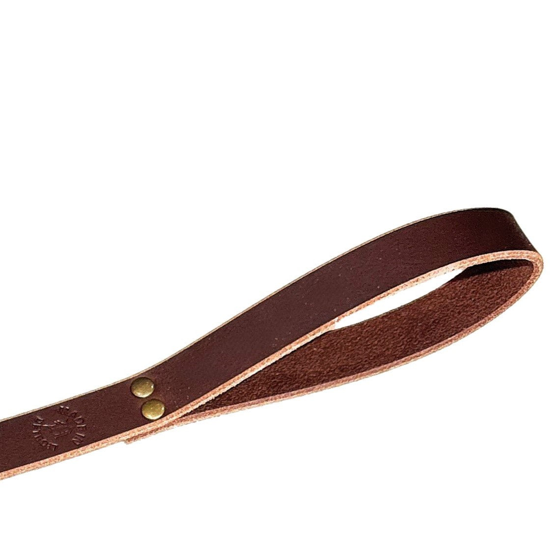 Dual Purpose Dog Leash